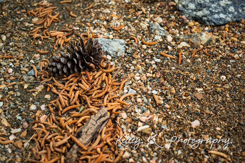 DSC_9070