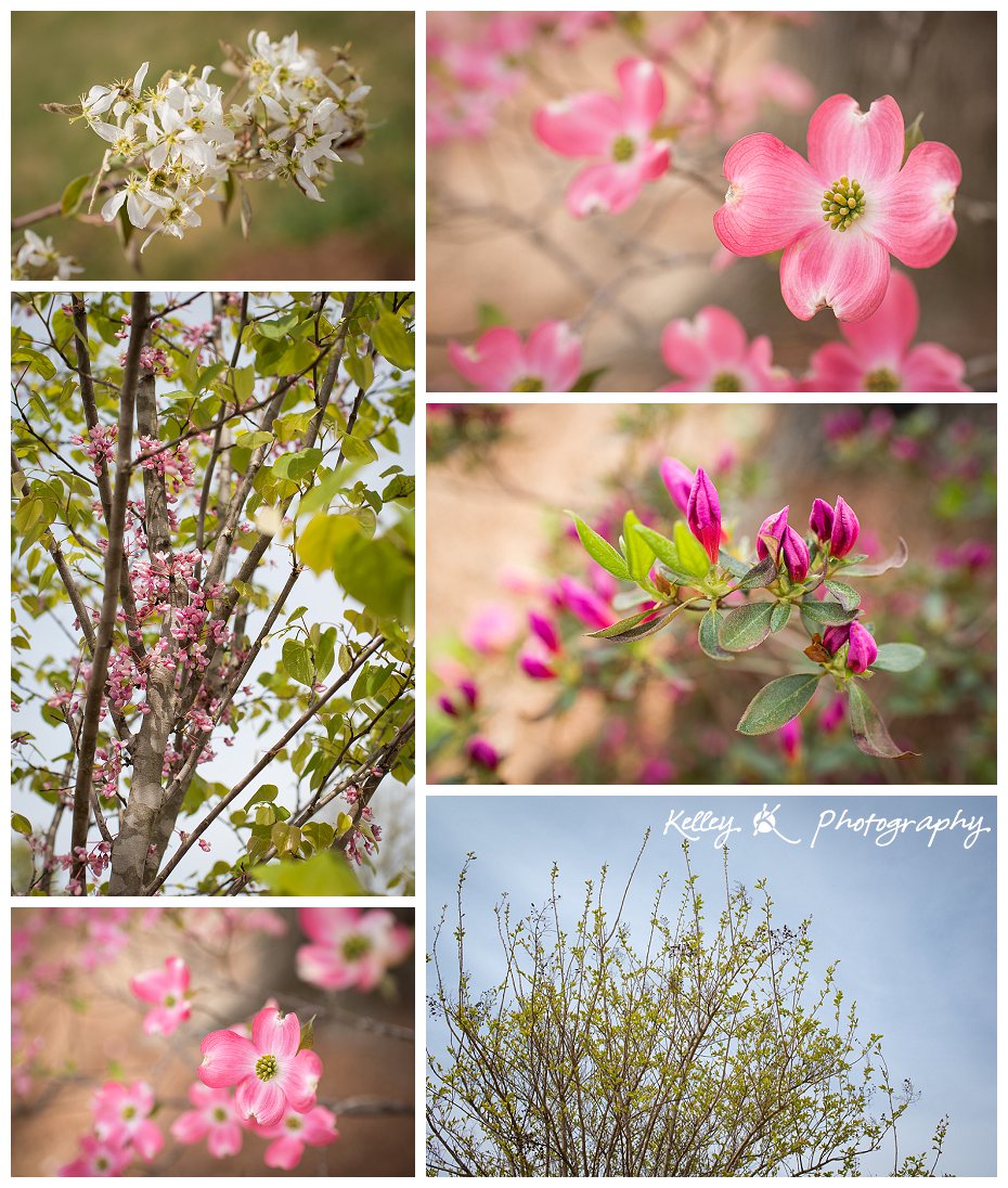 KelleyKPhotography_0008