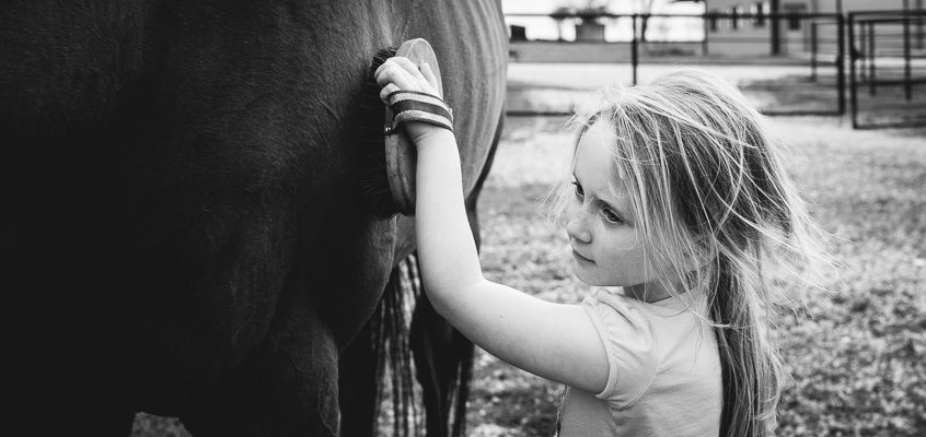 Girl brushing horse | Kelley K Photography