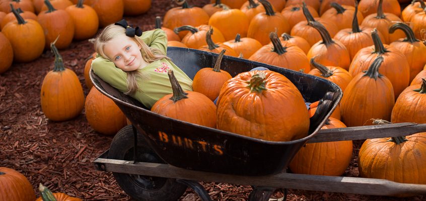 Girl with pumpkins | Kelley K Photography