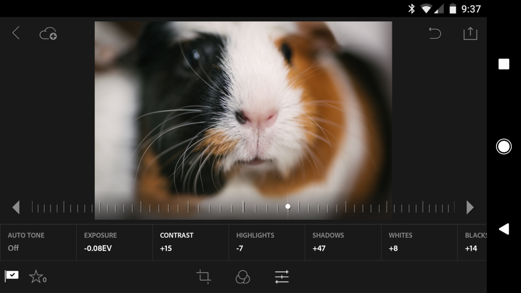 Lightroom-Mobile-editing