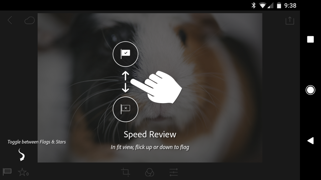 Lightroom-Mobile-flagging