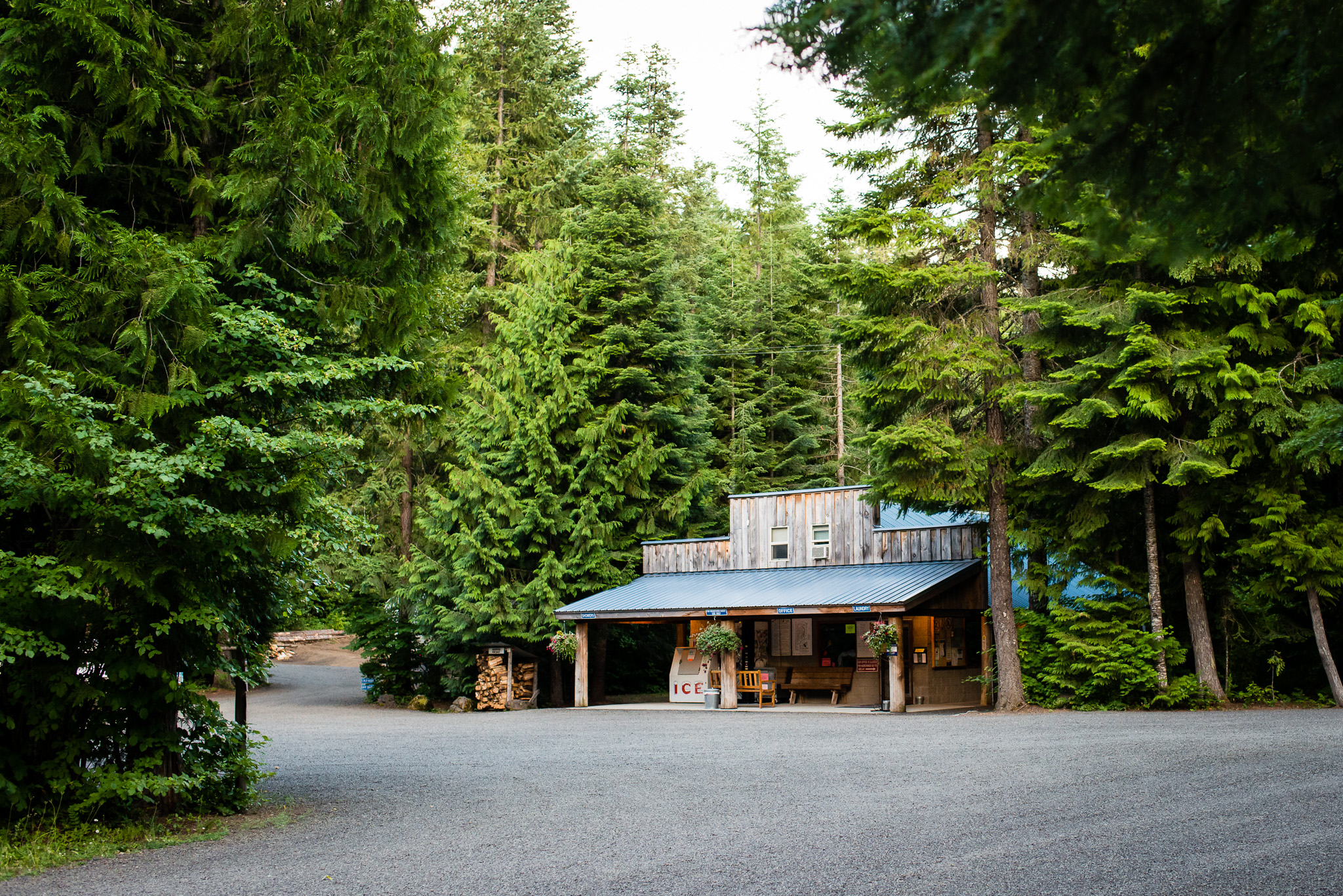 Photo of an old-fashioned store surrounded by tall evergreen trees
