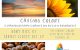 Chasing Colors - Vinings Library Photography Exhibit